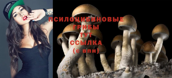 соль курить ск Нязепетровск