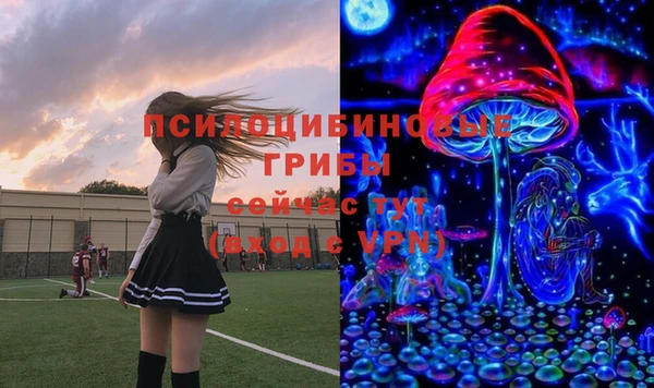 бошки Нягань