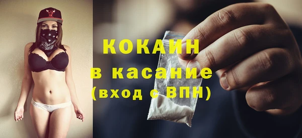 трава Новозыбков