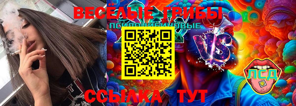 Семилуки  Псилоцибиновые грибы Magic Shrooms  Вход с VPN  Галлюциногенные грибы MAGIC MUSHROOMS 