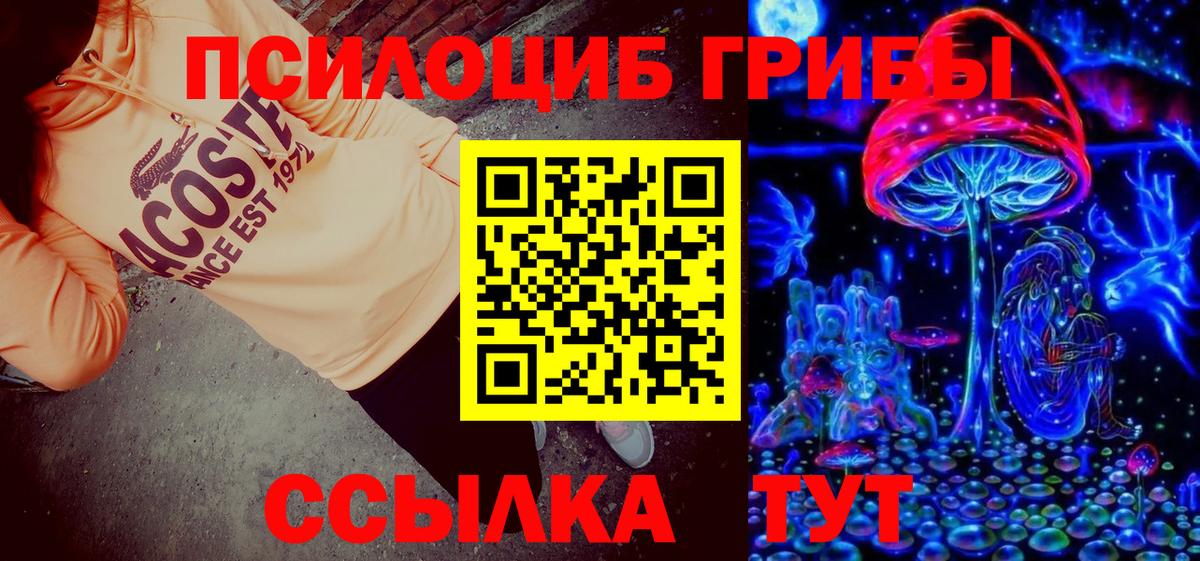 Псилоцибиновые грибы прущие грибы  Семилуки 